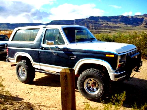 Ford Bronco 1980 #13
