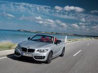 BMW 2 Series Convertible 2014 #2
