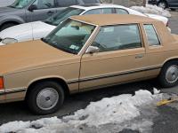 Dodge Aries Coupe 1981 #04