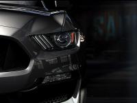 Ford Mustang Shelby GT350 2015 #29