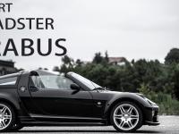Smart Roadster Coupe Brabus 2003 #04