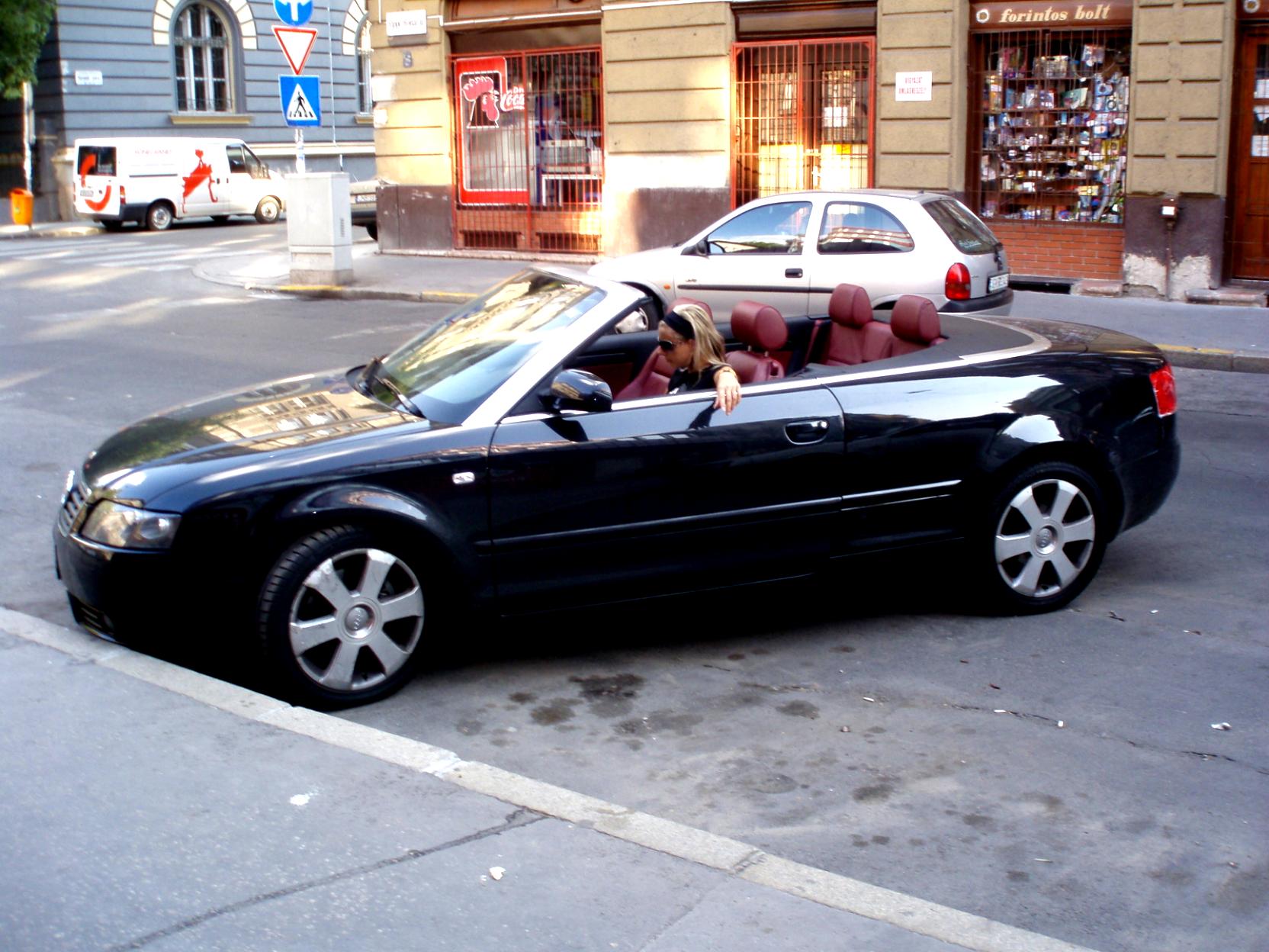 Audi A4 2004 #22
