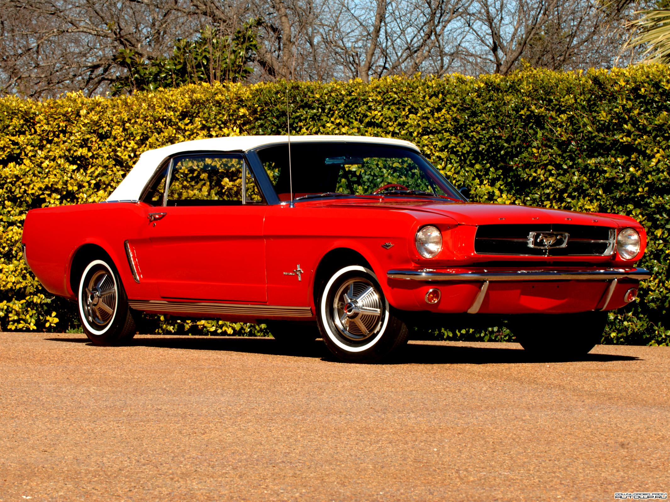 Ford Mustang 1964 #12