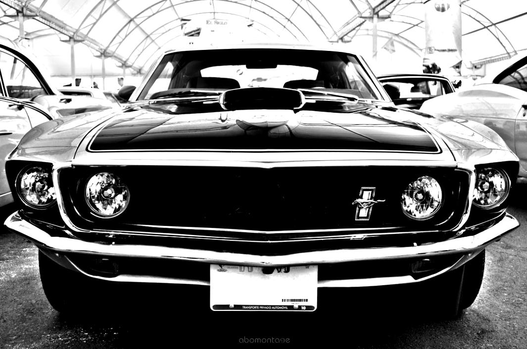 Ford Mustang 1969 #15