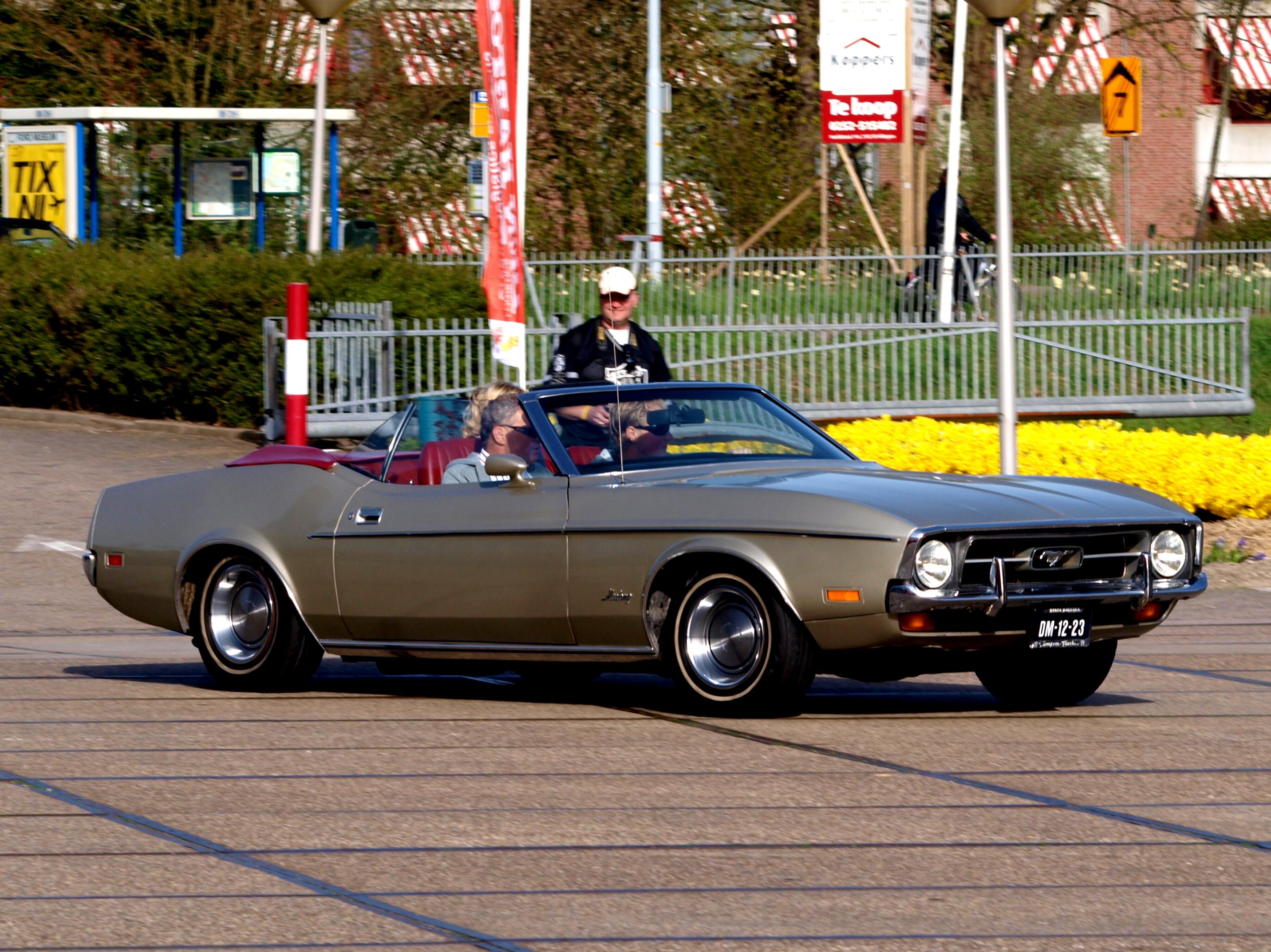 Ford Mustang 1971 #12