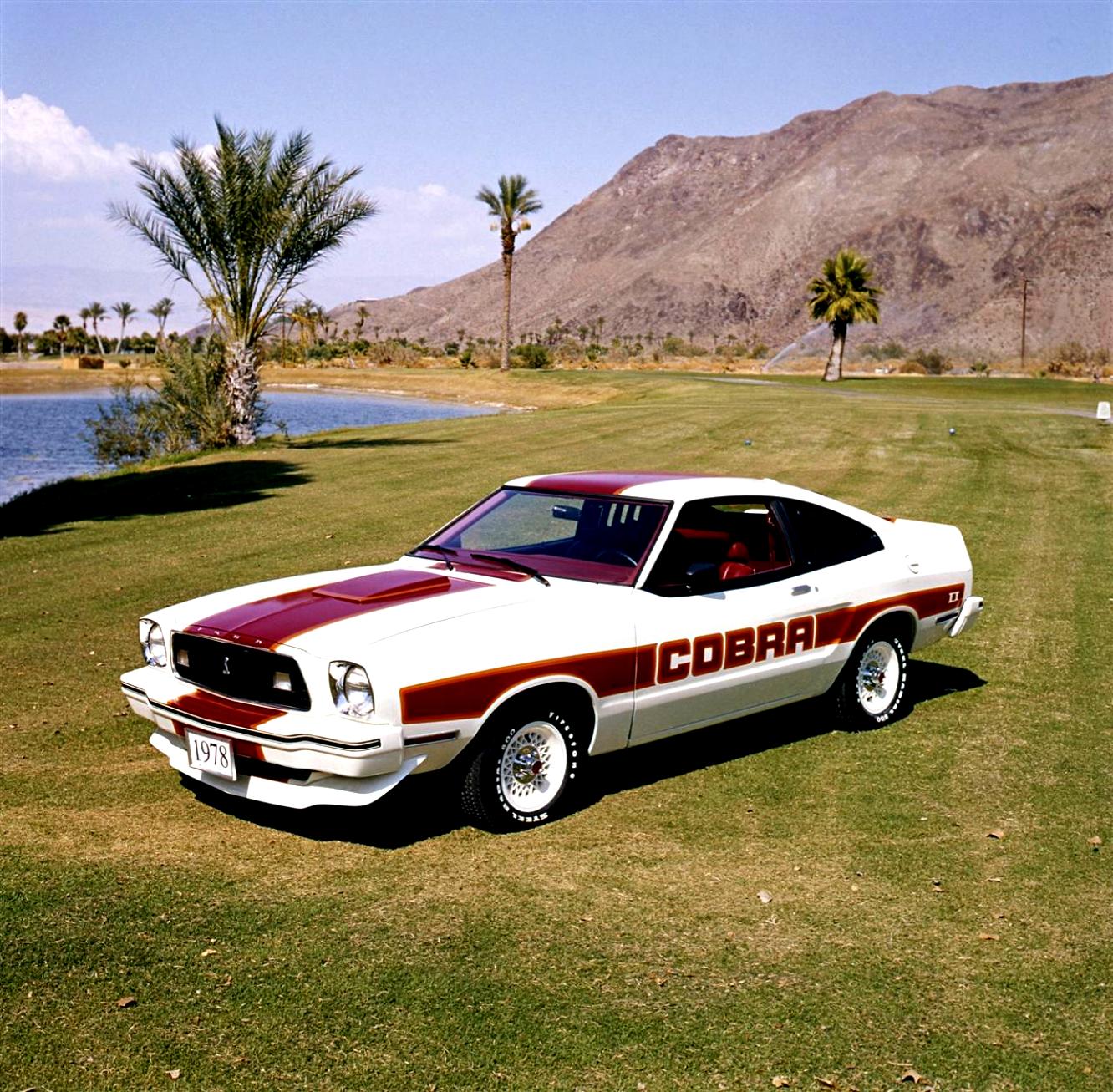 Ford Mustang 1978 #9