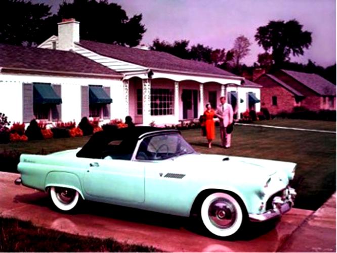 Ford Thunderbird 1955 #58