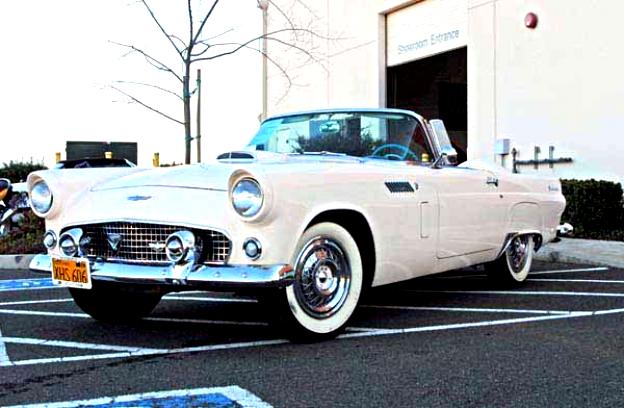 Ford Thunderbird 1956 #16