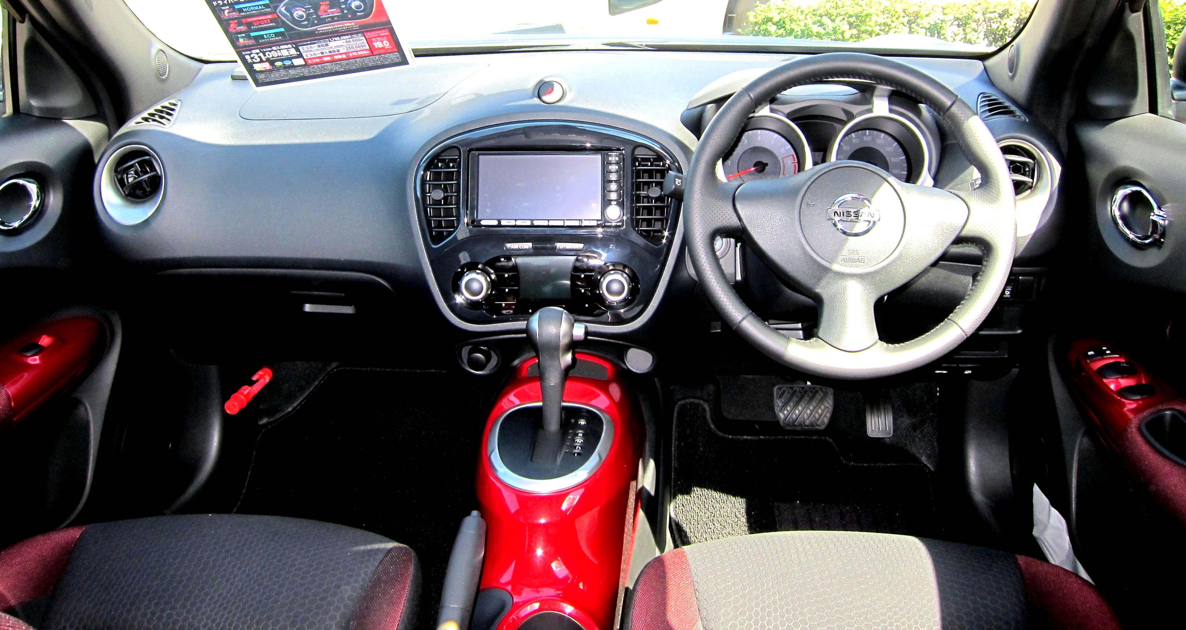 Nissan Juke 2010 #16