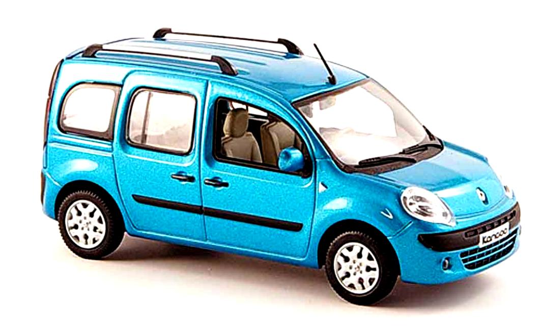 Renault Kangoo 2008 #61