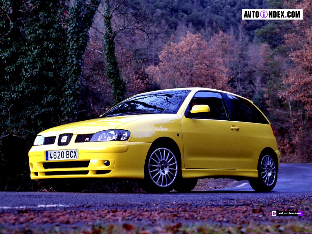 Seat Ibiza Cupra 1999 #5
