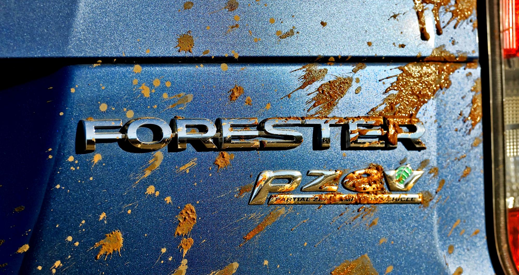 Subaru Forester 2013 #144