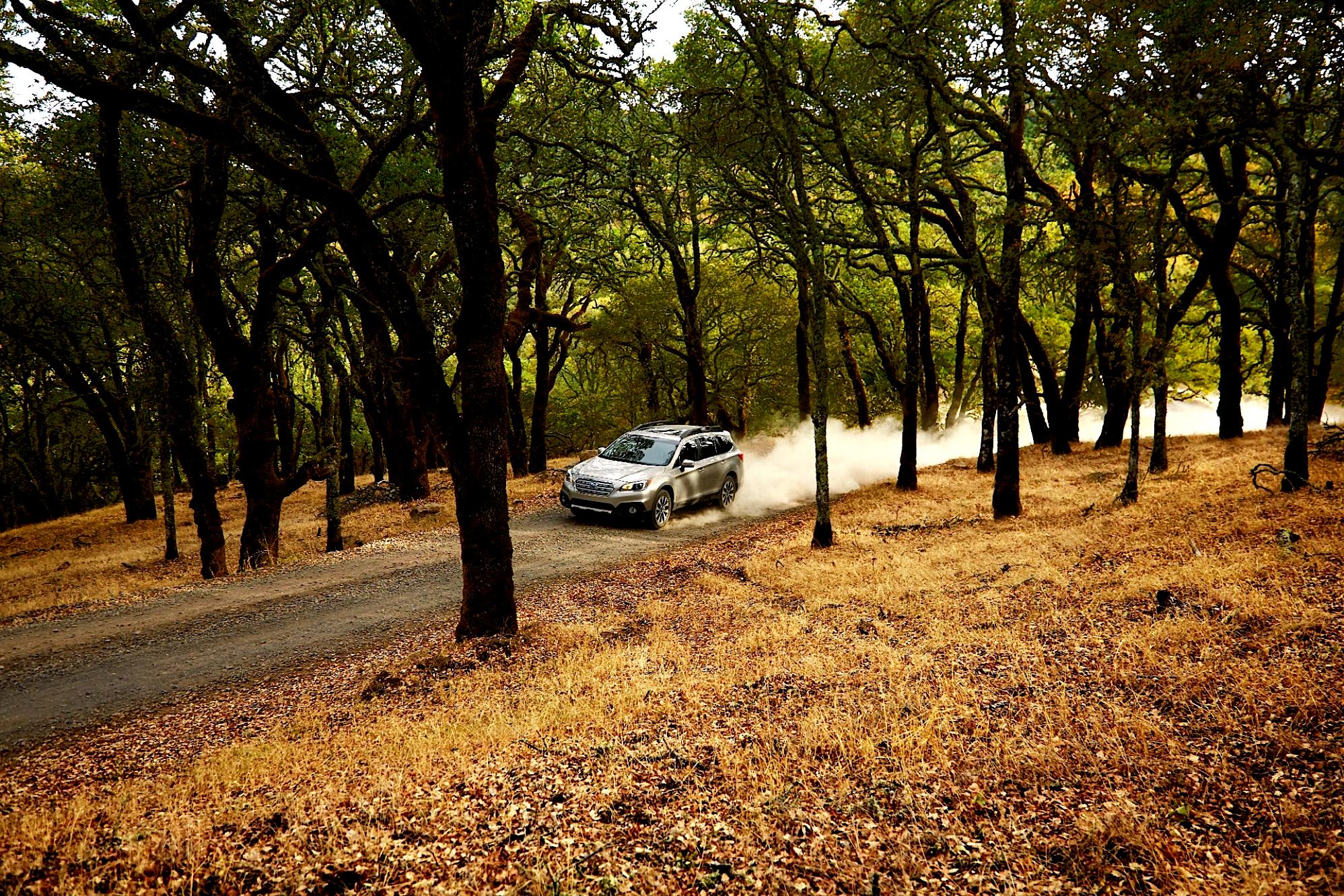 Subaru Outback 2014 #28