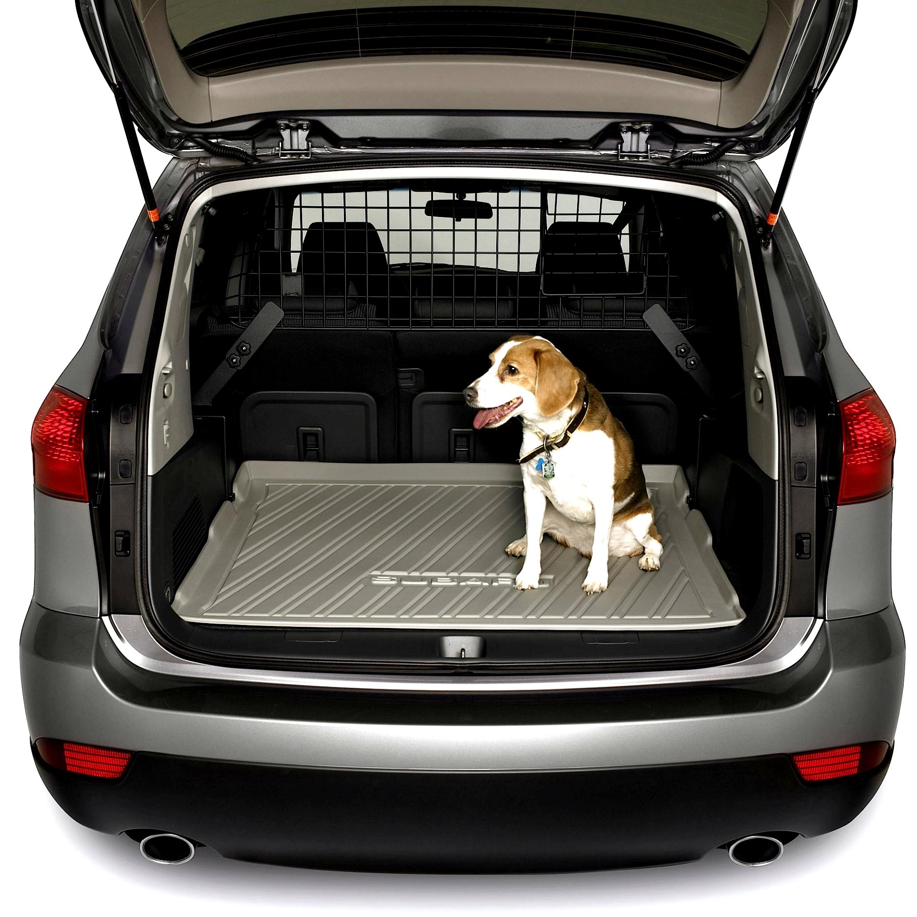 Машинки для собак рейтинг. F551sxa200. Subaru Tribeca багажник. Сетка в багажник Субару XV. Собака в багажнике.