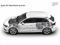 Audi A3 Sportback G-Tron 2013 #43