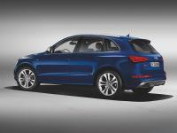 Audi SQ5 2012 #19