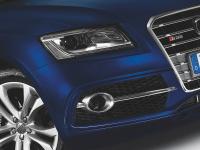 Audi SQ5 2012 #24