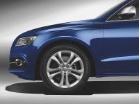 Audi SQ5 2012 #27