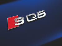 Audi SQ5 2012 #32