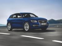 Audi SQ5 2012 #41