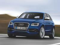 Audi SQ5 2012 #44