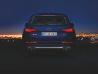 Audi SQ5 2012 #50
