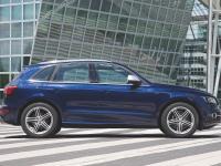 Audi SQ5 2012 #51