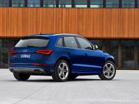 Audi SQ5 2012 #62