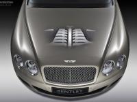 Bentley Continental Flying Spur Speed 2009 #24