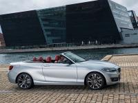 BMW 2 Series Convertible 2014 #05