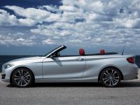 BMW 2 Series Convertible 2014 #06