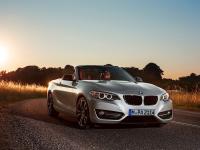 BMW 2 Series Convertible 2014 #07