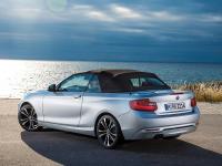 BMW 2 Series Convertible 2014 #08