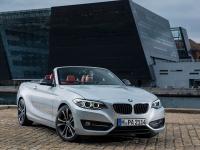 BMW 2 Series Convertible 2014 #14