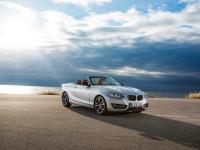 BMW 2 Series Convertible 2014 #17