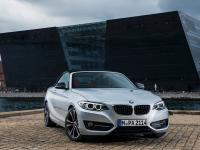 BMW 2 Series Convertible 2014 #18