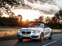 BMW 2 Series Convertible 2014 #21