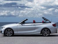 BMW 2 Series Convertible 2014 #22