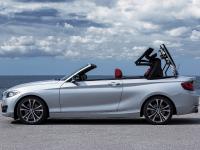 BMW 2 Series Convertible 2014 #23