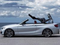 BMW 2 Series Convertible 2014 #24