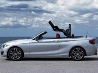 BMW 2 Series Convertible 2014 #25