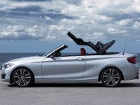 BMW 2 Series Convertible 2014 #26