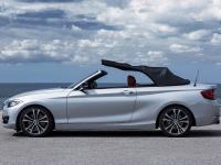 BMW 2 Series Convertible 2014 #27