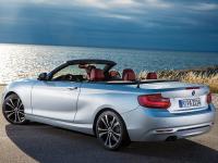 BMW 2 Series Convertible 2014 #30