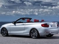 BMW 2 Series Convertible 2014 #31