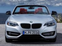BMW 2 Series Convertible 2014 #32