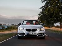 BMW 2 Series Convertible 2014 #33
