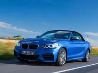 BMW 2 Series Convertible 2014 #45
