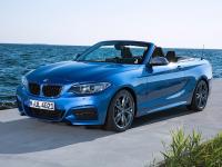 BMW 2 Series Convertible 2014 #48