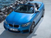BMW 2 Series Convertible 2014 #50
